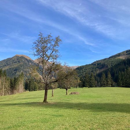 Schaffergut Appartements Donnersbachwald Exteriér fotografie