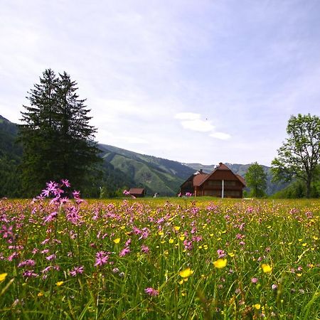 Schaffergut Appartements Donnersbachwald Exteriér fotografie