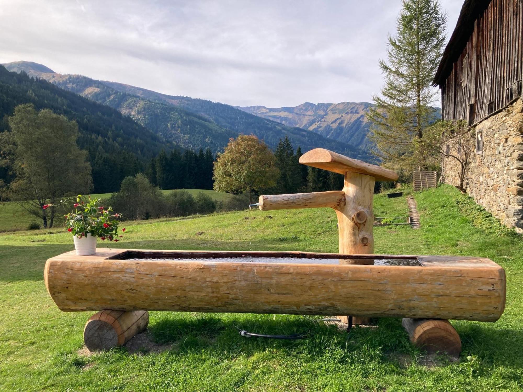 Schaffergut Appartements Donnersbachwald Exteriér fotografie