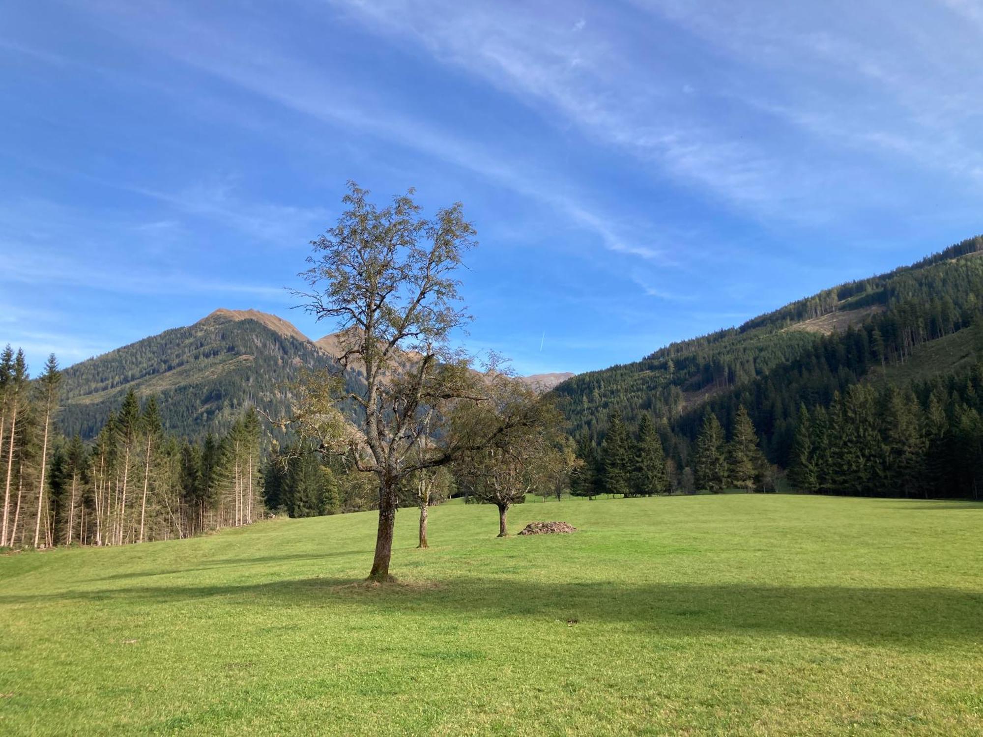 Schaffergut Appartements Donnersbachwald Exteriér fotografie