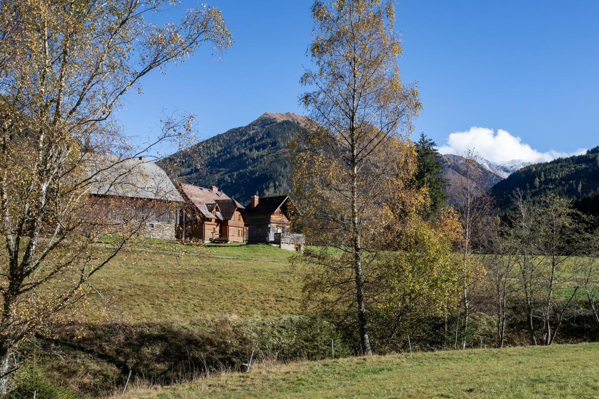 Schaffergut Appartements Donnersbachwald Exteriér fotografie