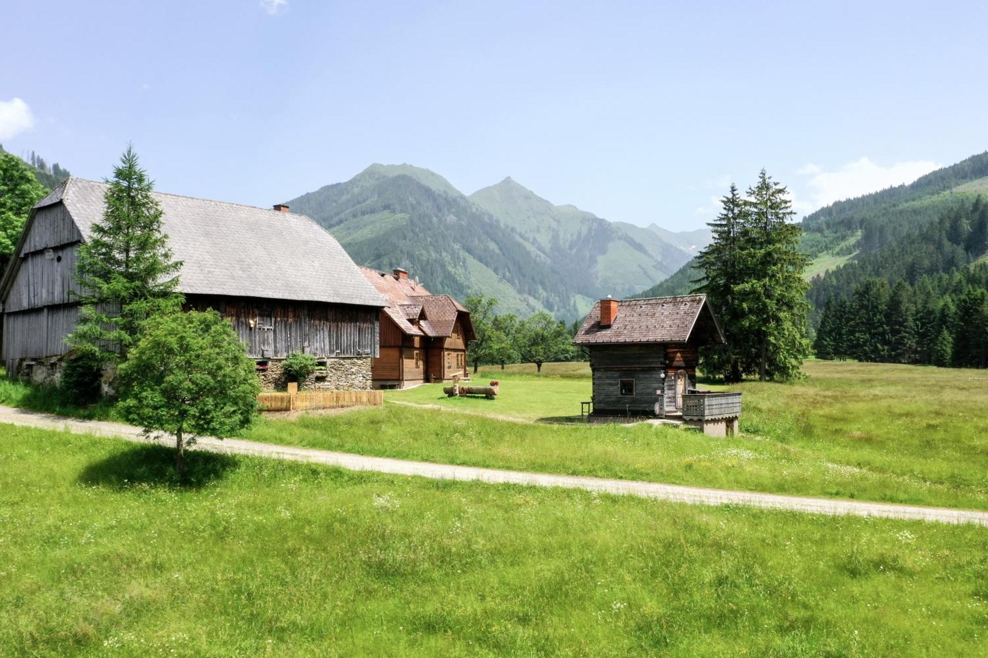 Schaffergut Appartements Donnersbachwald Exteriér fotografie