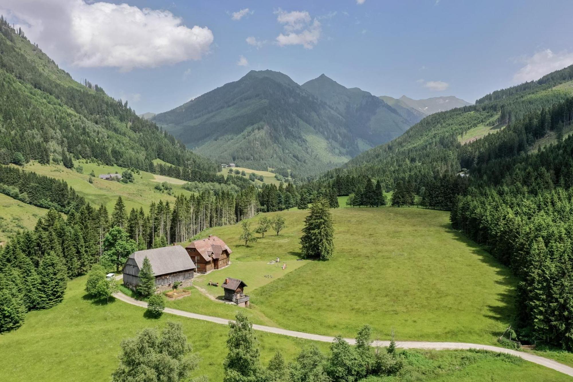 Schaffergut Appartements Donnersbachwald Exteriér fotografie