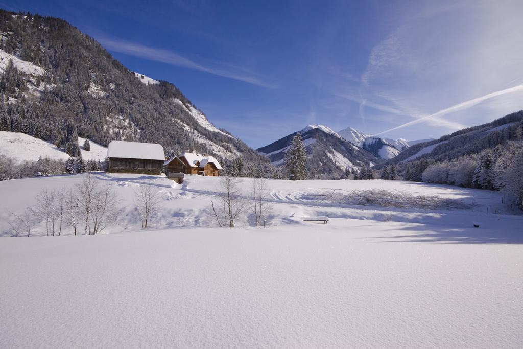 Schaffergut Appartements Donnersbachwald Exteriér fotografie