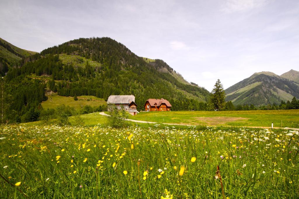 Schaffergut Appartements Donnersbachwald Exteriér fotografie