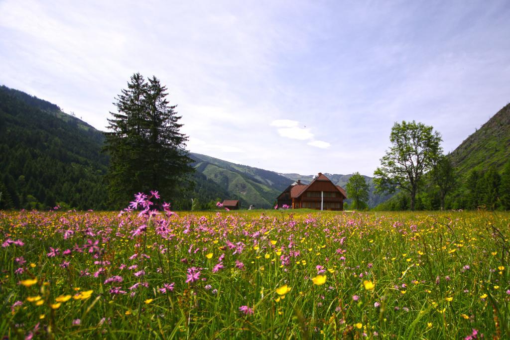 Schaffergut Appartements Donnersbachwald Exteriér fotografie